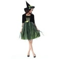 thumbnail image 2 of TFEOQRY Women's 2Pcs Witch Outfit Set Pointed Hat Floral Decor Half Sleeve Mesh Dress Outfit Green, 2 of 9