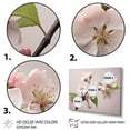 thumbnail image 3 of Designart "Blossom Delight Apple II" Apple Blossom Floater Framed Canvas Art Print, 3 of 7