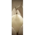 thumbnail image 4 of Alan Blaustein 11x24 Black Modern Wood Framed Wall Art Titled - Florison - 67, 4 of 6