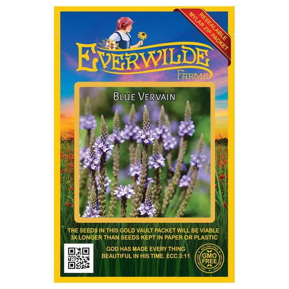 Everwilde Farms - 2000 Blue Vervain Native Wildflower Seeds - Gold Vault Seed Packet