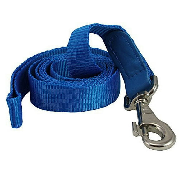 Dog Leash 1" Wide Nylon 5ft Length with Leather Enforced Snap Blue Large