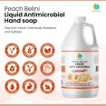thumbnail image 2 of Jabón de manos Plainly Earth Antimicrobial, 1.89 L, recambio a granel, 2 of 7
