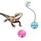 thumbnail image 4 of 7 Pack Bearded Dragon Toy Kring Ball, Reptile Lizard Toy Ball, Random Colors, 4 of 4