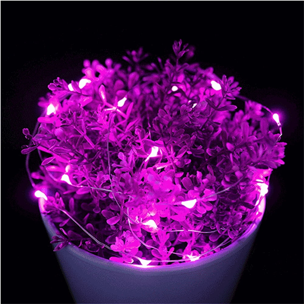 Globe String Lights, 16.5ft/5m 50 LED 6W Waterproof Fairy Lamp Battery Powered DC 5V Decorative Lights for Bedroom, Patio, Garden, Gate, Yard, Parties, Wedding, Indoor, Outdoor (Purple)