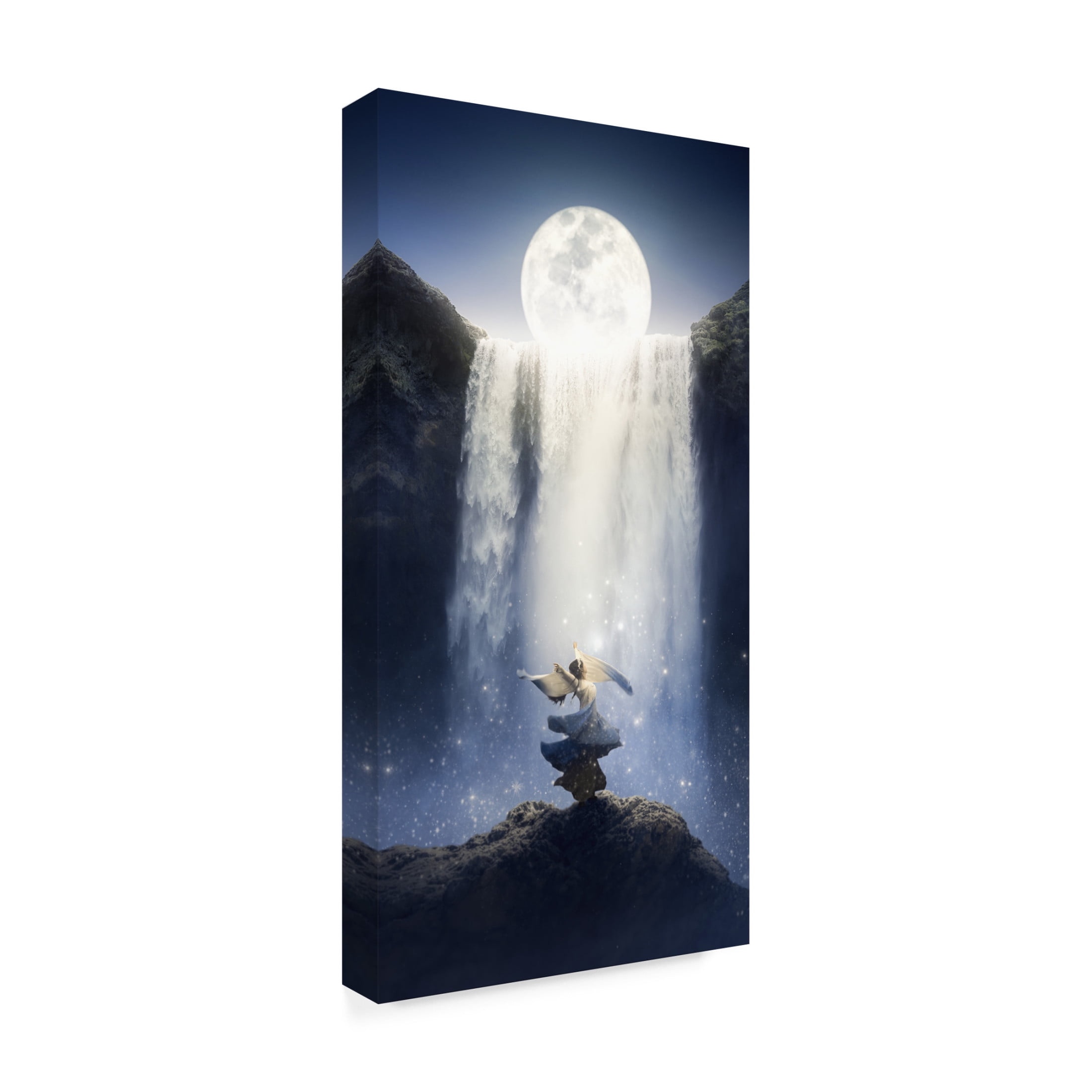 Trademark Fine Art Can Pu Dance under the moon Canvas Wall Art