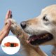 thumbnail image 3 of Collar para perros de cáñamo - Forro antialérgico súper suave. Perfecto para pequeños, 3 of 5