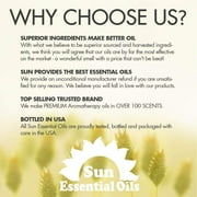 Sun Essential Oils – 4 oz Organic Black Seed Oil, Cold Pressed & Unrefined with Dropper – 100% Pure Organic Blackseed Oil for Skin, Hair, Scalp & DIY Beauty Care