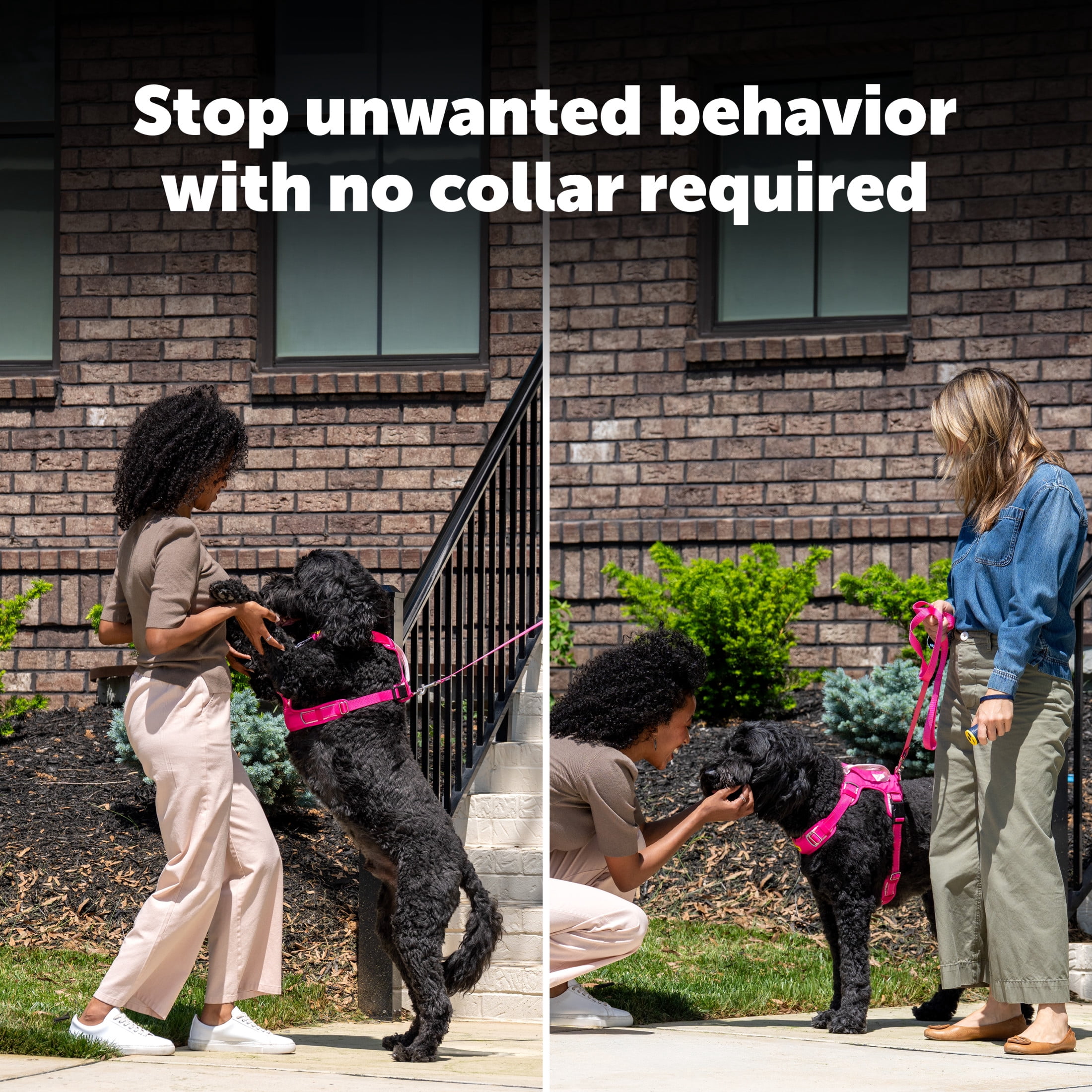 PetSafe Collarless Trainer Handheld Ultrasonic Bark Deterrent | Anti-Bark Device, Tone/High-Pitched Sound/Flashlight, Up to 30 Ft Range, Rechargeable, Wrist Strap