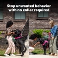 thumbnail image 3 of PetSafe Collarless Trainer Handheld Ultrasonic Bark Deterrent | Anti-Bark Device, Tone/High-Pitched Sound/Flashlight, Up to 30 Ft Range, Rechargeable, Wrist Strap, 3 of 10