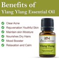 thumbnail image 3 of Aceite esencial Nirvana Nurture Ylang Ylang 100% puro, 10 ml, 3 of 7