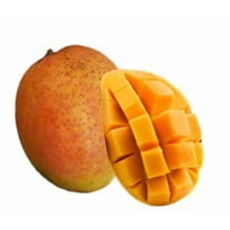 Cotton Candy Mango Grafted Tree 2-4 Ft Tall. Ship To ALL STATES