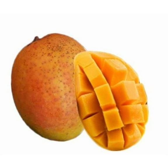 Cotton Candy Mango Grafted Tree 2-4 Ft Tall. Ship To ALL STATES