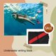 thumbnail image 4 of Eigraketly Bloc de notas subacuático, impermeable, multifuncional, sumergible, portátil, reutilizable, para escribir, para buceo, agua al aire Deportes acuáticos negro rojo, 4 of 6