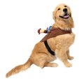 thumbnail image 2 of Vibrant Life Halloween Costume for Dogs, Ride-On Cowboy, Brown, Large, 2 of 8