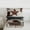 Texas Stars 01, variant on Feelyou 3D Brown Horse Twin Comforter Sets, Hippie Bedding Set, 2 Pieces