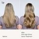 thumbnail image 4 of Tratamiento para la ducha Living Proof Perfect Hair Day, brillo intenso, 200 ml, 4 of 8