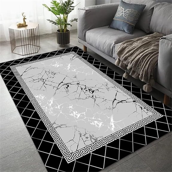 Black White Silver Area Rug, Modern Simple Geometric Texture Print Large Rugs, Indoor Non-Slip Kids Rugs, Machine Washable Breathable Durable Carpet For Front Entrance Floor Decor 4x6ft