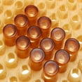 thumbnail image 3 of Herramienta para Caja de Cría de Abejas Reina, Copas de Celdas 100 Piezas, de Herramientas de Cola Copas de células de crianza de la reina, 3 of 8