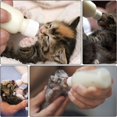 thumbnail image 4 of 1 pieza - Biberón de 60 ml - Set completo de alimentación para cachorros y gatitos - Incluye 6 accesorios, 4 of 5