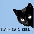 thumbnail image 3 of CafePress - Black Cats Rule Light T Shirt - Men's Classic Graphic T-Shirt, 3 of 4
