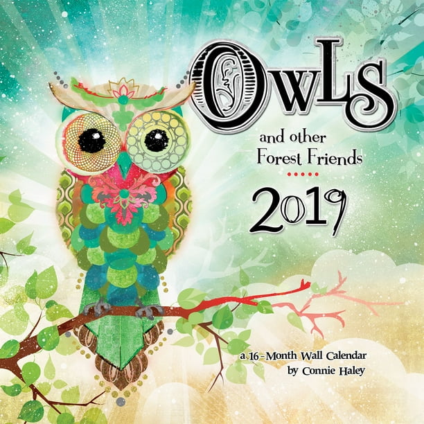 2019 Owls Connie Haley Wall Calendar