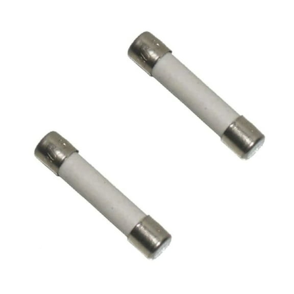 Hot Tub Compatible With Vita Spas Bussman 8 Amp MDL Fuse 2 Pack VIT452153