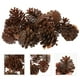 thumbnail image 5 of 30pcs imitación plástica de pino cono de navidad de otoño de pino cono de decoración de cono, 5 of 5