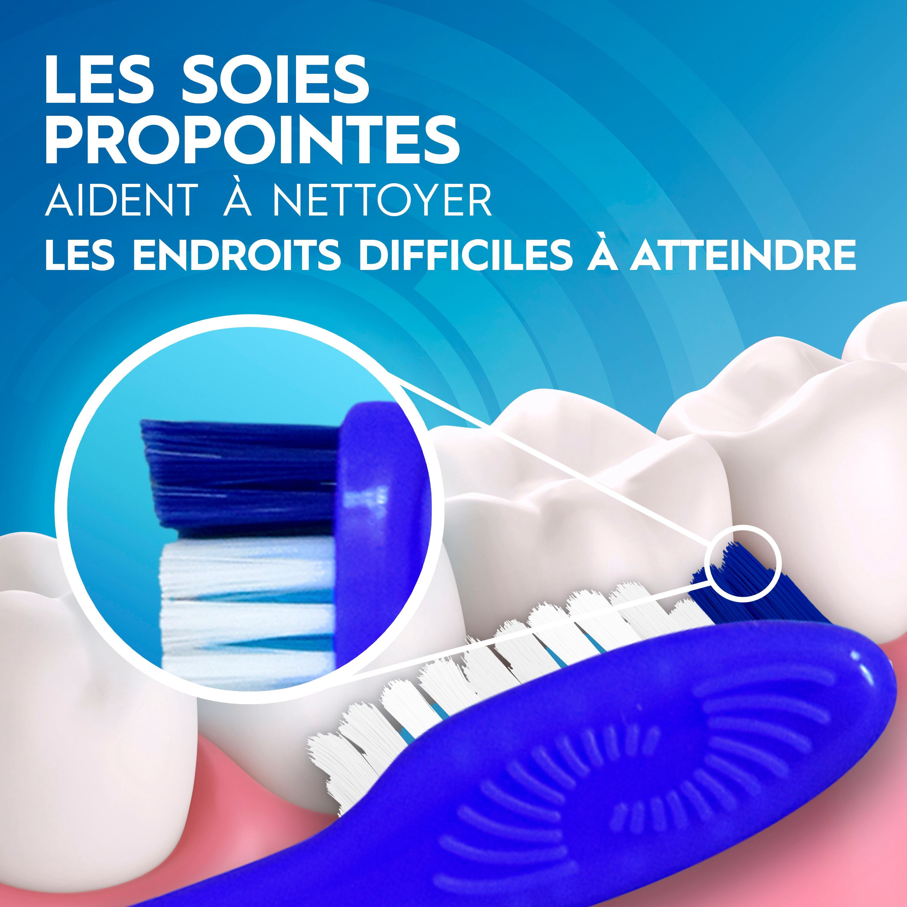 Oral-B Brosse à Dents Dual Clean, Souple