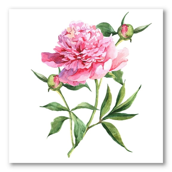 Ancient Pink Peonies 16 in x 16 in Painting Canvas Art Print, by Designart