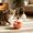 B, variant on Interactive Wobble Cat Toy for Independent Self Play, Stimulating Cat Teaser Wand Alternative Promotes Agility Exercise, Durable Enrichment Toy for Boredom Relief, for Indoor Kittens Adult Cats