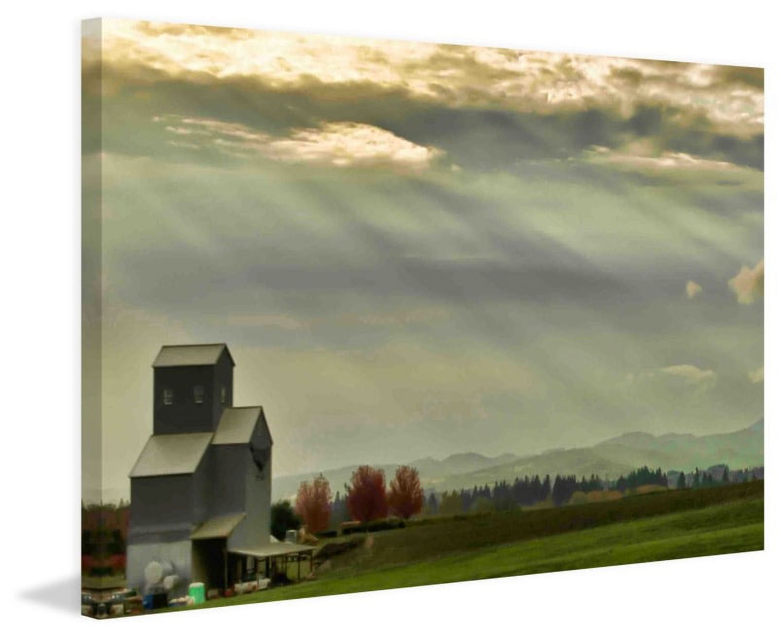 Marmont Hill "Wine Country Sunset" Painting Print on Canvas