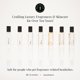 thumbnail image 5 of Perfume Riddle Sphinx Roll-On Pheromone, 8 ml, para mujer, 5 of 5