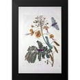thumbnail image 2 of Merian, Sybilla 17x24 Black Modern Framed Museum Art Print Titled - Tropical flower,Butterfly, plate 45, 2 of 5