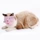 thumbnail image 5 of Bozales para gatos multiusos ajustable resistencia a las mordeduras cubierta de boca de gato de malla transpirable para gatos gatitos rosa, 5 of 10