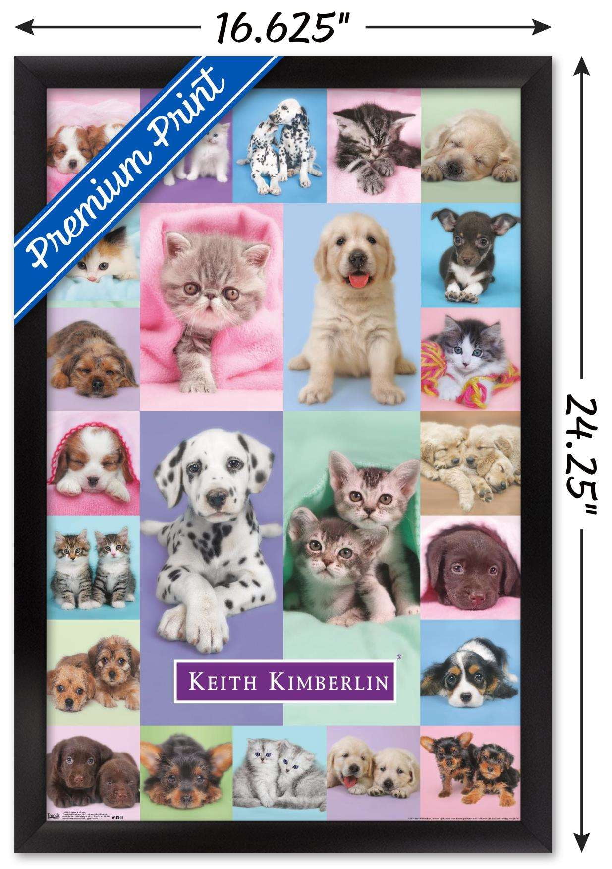 Keith Kimberlin - Puppies and Kittens Wall Poster, 14.725" x 22.375", Framed