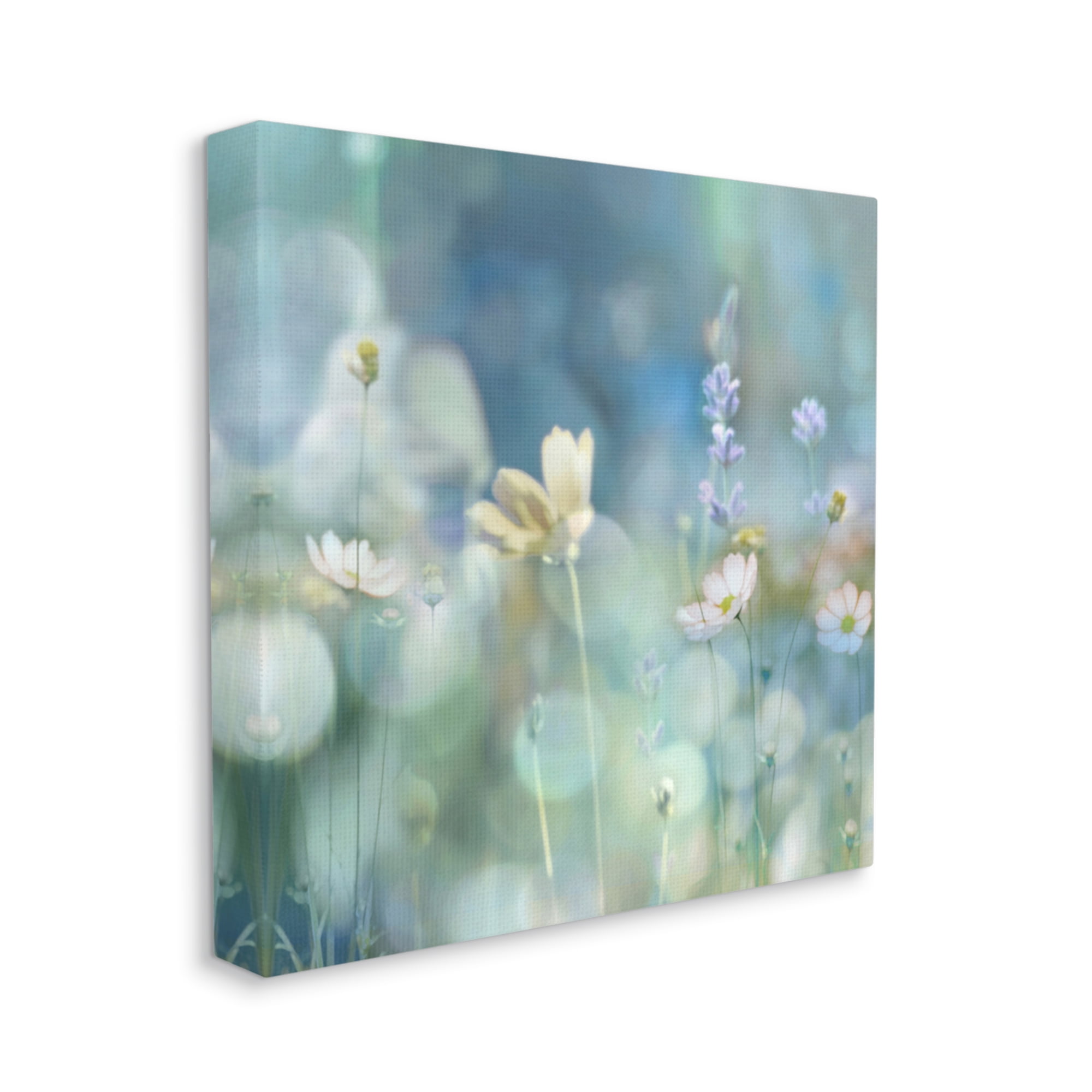 Stupell Industries Garden Floral Photography Botanical & Floral Photography Gallery Wrapped Canvas Art Print Wall Art, 17 x 17