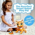 Robo Pets Robot Cat Toy with STEM Interactive Hand Motion Gestures