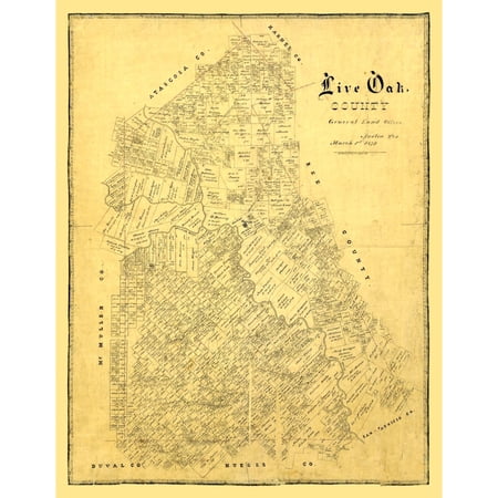 Historic County Map- Live Oak County Texas - General Land Office 1879 - Vintage Wall Art