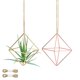 thumbnail image 1 of Uxcell Soportes Colgantes para Plantas de Aire, Paquete de 1, Soporte Geométrico de Metal para Tillandsia con Cadena de Metal [Rosa Dorado, Tono Dorado, 3.3" H], 1 of 6
