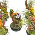 thumbnail image 2 of Resin Tropical Animals Air Plant Sculpture Tillandsia Planted in Hand Made Art Assorted Set of 5, 2 of 9