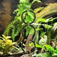 thumbnail image 5 of Reptile Climbing Loops,Three Rings Snake Climbing Rings for Ball Python | Terrarium Habitat Decor | Snakes Tank Accessories for Climb Toys, 5 of 6