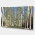 thumbnail image 2 of Jardins de Versailles - Art sur Toile Forêt Moderne, 2 of 3