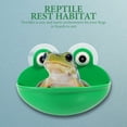 thumbnail image 4 of WEUVEB 2Ud Plataforma Para Reptiles Con Drenaje Y Material Duradero Para Terrarios Decorativos, 4 of 8