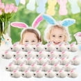 thumbnail image 7 of XIAOLE 20 Pcs Mini Plush Easter Bunny Animals Ornament, Miniature Stuffed Rabbit, Soft Tiny Stuffed Animals Easter Bunnies Plush Rabbit For Easter Decorations, Diy Hair Clips, 7 of 7