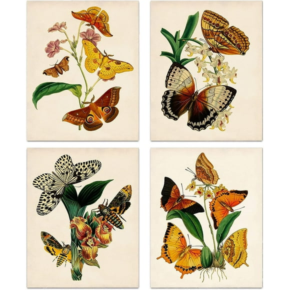 Retro Botanical Butterfly Wall Art Prints, Vintage Butterfly Canvas Wall Art, Butterfly Floral Nature Aesthetic Posters for College Dorm Room Preppy Room Bedroom Decor, Set of 4-(8"x10" Unframed)