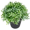 thumbnail image 3 of Northlight 7.5" Potted Green Artificial Boxwood Plant, 3 of 5