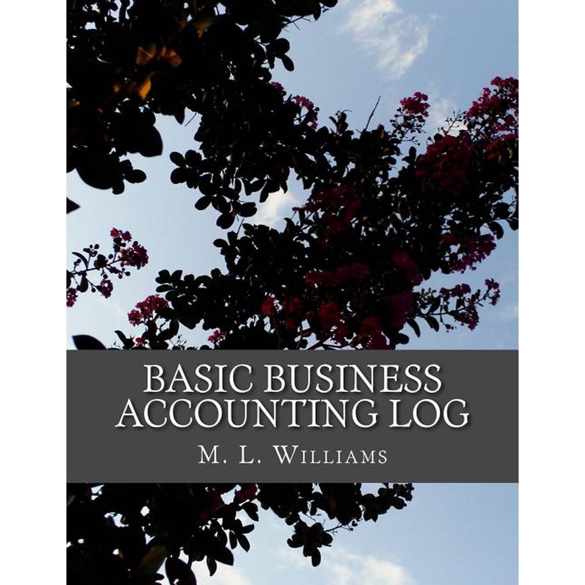 Basic Business Accounting Log