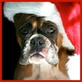 thumbnail image 2 of CafePress - Christmas Boxer Dog Tote Bag - Unisex Canvas Tote Bag, Beige, 1-Piece, 2 of 7
