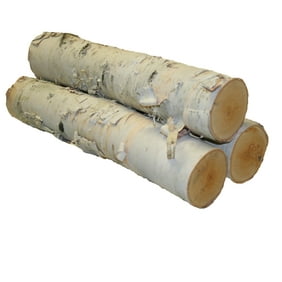 White Birch Log Set For Fireplace Walmart Com