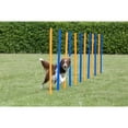 thumbnail image 5 of TRIXIE Dog Agility Slalom Set, Portable Dog Training Poles, Agility Weaving Poles, 12 pcs, 5 of 8